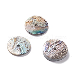 Breloques de coquille de mer, plat rond, colorées, 14x1.5mm, Trou: 2mm