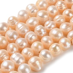 Fili di perle di perle d'acqua dolce coltivate naturali, patata, grade ab +, peachpuff, 8~10.5x8~9.5mm, Foro: 0.5 mm, circa 42pcs/filo, 13.98~14.37 pollice (35.5~36.5 cm)