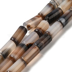 Природный агат бисер нитей, окрашенная и подогревом, колонка, деревесиные, 8~8.5x14.5~16 мм, отверстие : 1.6 мм, около 12 шт / нитка, 7.20~7.48'' (18.3~19 см)