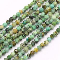 Fili di perle naturali di turchese africano (diaspro), sfaccettato, tondo, 3mm, Foro: 0.5 mm, circa 119pcs/filo, 15.7 pollice (40 cm)