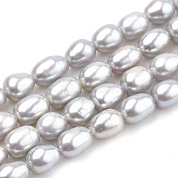 Hebras de perlas de agua dulce cultivadas naturales, teñido, patata, gris claro, 5~6x3~4.5mm, agujero: 0.5 mm, aproximamente 62 pcs / cadena, 14.7 pulgada