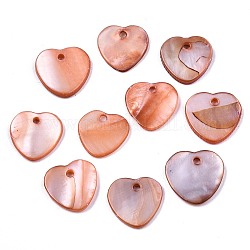 Подвески из натуральных пресноводных ракушек, окрашенные, сердце, цвет шоколада, 12.5x13x2 мм, отверстие : 1.5 мм