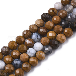 Fili di perle di agata / diaspro oceaniche naturali, tondo, sfaccettato (64 sfaccettatura), 6mm, Foro: 1 mm, circa 68pcs/filo, 14.88 pollice (37.8 cm)
