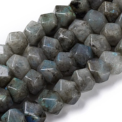 Chapelets de perles en labradorite naturelle , facette, polygone, 13~14x12~13x16mm, Trou: 1.2mm, Environ 31 pcs/chapelet, 15.75 pouce (40 cm)