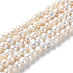 Fili di perle di perle d'acqua dolce coltivate naturali, patata, grado A +, papayawhip, 5~7.5x5~6mm, Foro: 0.5 mm, circa 65pcs/filo, 13.39 pollice (34 cm)