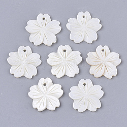 Freshwater Shell Pendants, Sakura Flower, Creamy White, 20.5x20.5~22x1.5~2.5mm, Hole: 1.5mm
