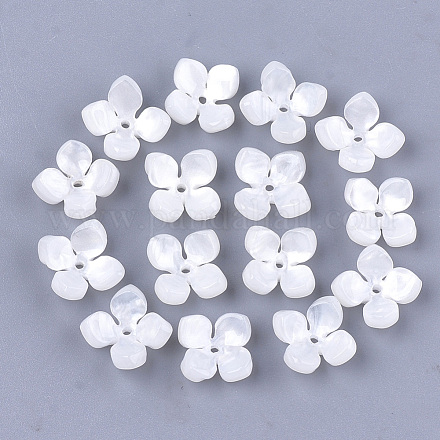 Capsules de perles d'acétate de cellulose (résine) KK-S161-02A-1