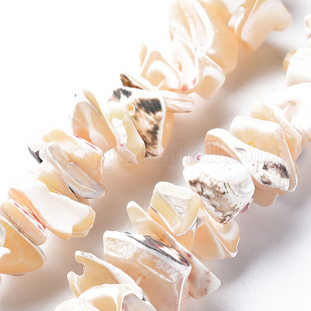 Coquille de trochid naturel / brins de perles de coquille de trocas SSHEL-N034-105-B01-1