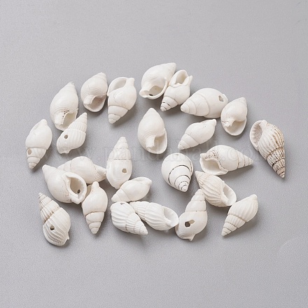 Perles de coquillages en spirale BSHE-L037-03-1