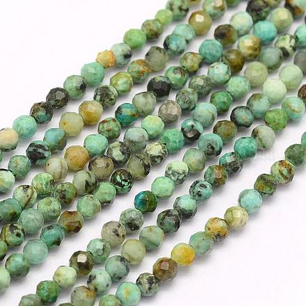 Brins de perles turquoises africaines naturelles (jaspe) G-F509-29-3mm-1