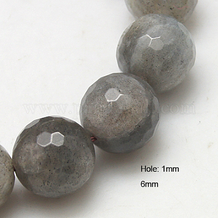Natural Labradorite Beads Strands G-G213-6mm-03-1