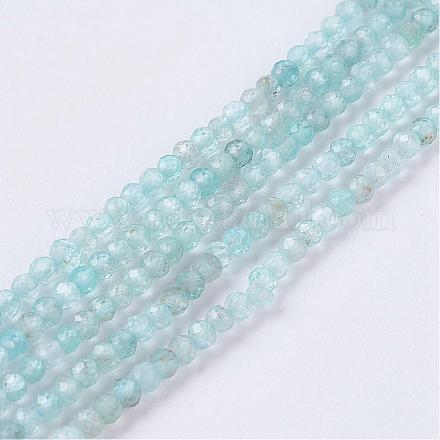 Chapelets de perles en apatite naturelle G-P278-14-2mm-1