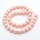 Round Shell Pearl Bead Strands BSHE-M009-10mm-M-3