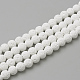 Natural Lava Rock Beads Strands G-S247-10mm-08-1