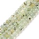 Chapelets de perles en préhnite naturelle G-S333-6mm-032-2