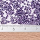 MIYUKIデリカビーズ  シリンダー  日本製シードビーズ  11/0  （db1756)輝く紫色の裏地アメジストab  1.3x1.6mm  穴：0.8mm  約20000個/袋  100 G /袋 SEED-J020-DB1756-4