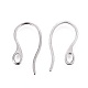 304 Stainless Steel Earring Hooks STAS-I100-23P-2