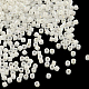 MIYUKI Delica Beads SEED-R015-202-1
