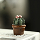 Decoraciones de exhibición de cactus de porcelana PORC-PW0001-093-26-1