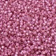Perles rocailles miyuki rondes X-SEED-G007-RR0556-3