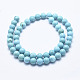 Natural Magnesite Beads Strands G-K244-02-6mm-01-2