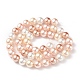 Cuentas perlas de concha de perla X-BSHE-L017-11-2