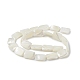 Fili di perle di conchiglia trochid naturale / trochus BSHE-G033-01-2