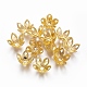 Chapeaux de perles de fer IFIN-L030-001G-1
