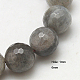 Natural Labradorite Beads Strands G-G213-6mm-03-1