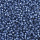 Perles rocailles miyuki rondes X-SEED-G007-RR0648-3