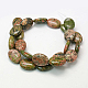 Natural Gemstone Beads Strands G-G154-10-2