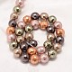 Faceted Round Shell Pearl Bead Strands BSHE-L012-6mm-L011-3