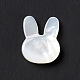 Perles de coquillage blanc naturel BSHE-C003-02C-3
