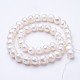 Natural Cultured Freshwater Pearl Beads Strands PEAR-F004-28-2