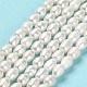 Natural Cultured Freshwater Pearl Beads Strands PEAR-E016-132-2