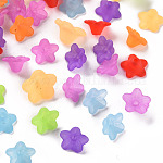 Transparent Acrylic Beads, Flower, Frosted, Mixed Color, 10x5mm, Hole: 1mm, about 4600pcs/500g