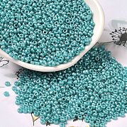 Выпечка краска стеклянные бусины SEED-P006-03A-31