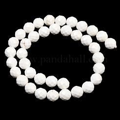 Fili di perline di magnesite naturale&nbsp;G-Z143-D01-10mm