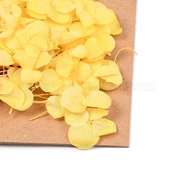 Getrocknete Blume&nbsp;DIY-B018-13