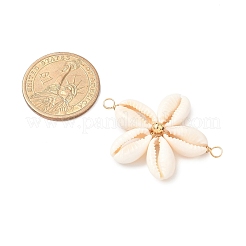 Natürliche gemischte Kauri-Muschel-Verbinder-Charms&nbsp;PALLOY-JF03858-02