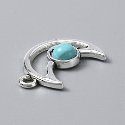 Legierung Harzanhänger&nbsp;FIND-WH0045-32