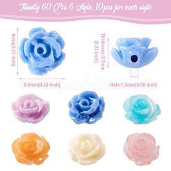 60 Stück 6 Farben Rosenmuschelperlen&nbsp;BSHE-CW0001-01