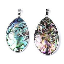 Pendenti conchiglia abalone naturale / conchiglia paua&nbsp;SSHEL-N034-90