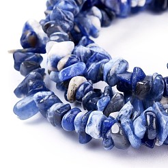 Chip sodalite naturali fili di perline&nbsp;LS-F024