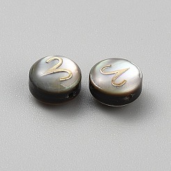 Perlas de esmalte dorado con concha de labio negro natural&nbsp;SSHEL-WH0007-01A