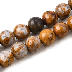 Natürliche afrikanische Opalkorne Stränge&nbsp;G-S390-06-8mm