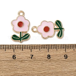 Emaille Anhänger Legierung&nbsp;FIND-D304-01C-KCG