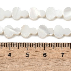 Natürlichen Süßwasser-Muschelperlen Stränge&nbsp;SHEL-K010-02A