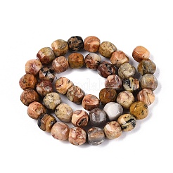 Fili di perline agata pazzesco naturale&nbsp;G-Q608-08A-05