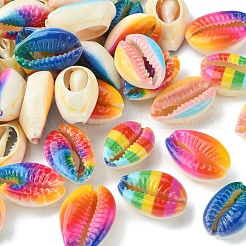 40 pz 5 stili stampati perline di conchiglia di ciprea naturale&nbsp;SSHEL-FS0001-02
